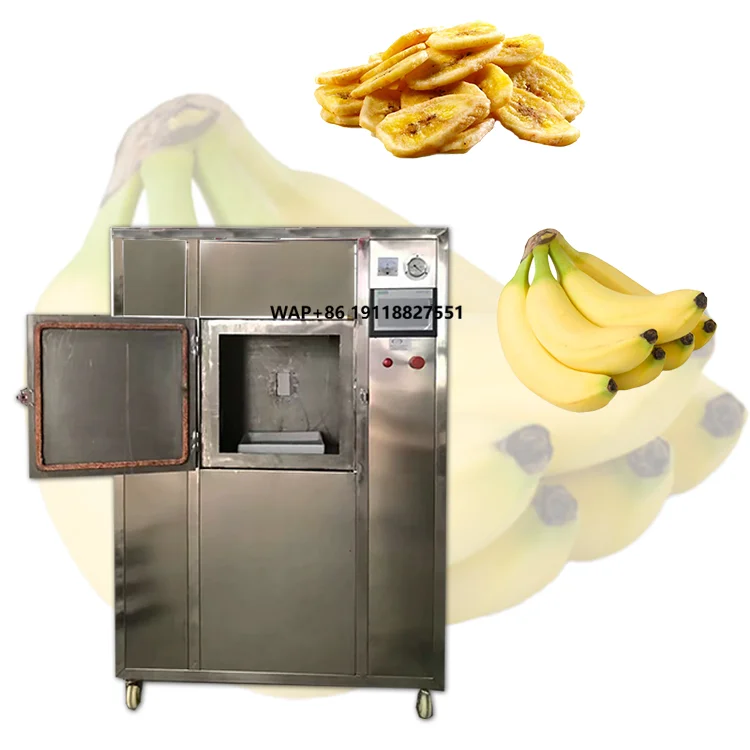 Microwave Oven - Forno Industriale a Vuoto/Microonde per Essiccazione